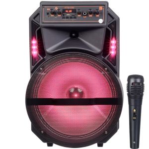 اسپیکر چمدانی مدل kts-1293